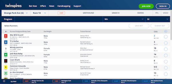 Twinspires Racebook