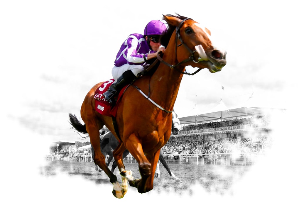 horse betting sites